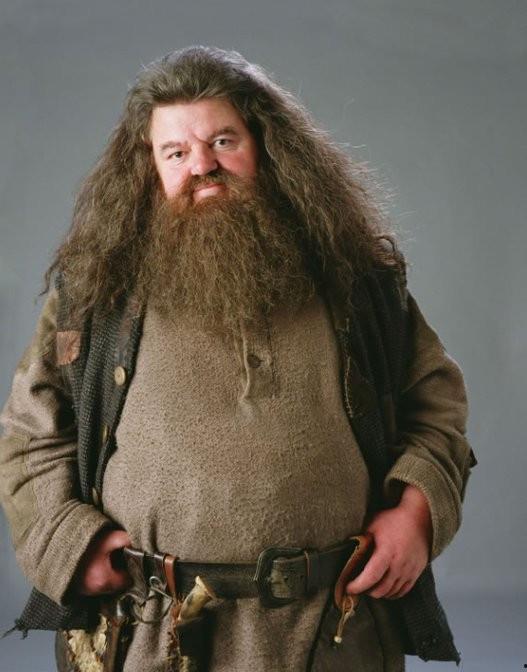 哈利照片,揭秘魔法世界的真实面貌