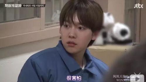 明星中坐牢,盘点因故入狱的明星们