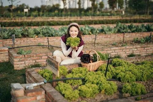 刘芳菲最近生活照,优雅日常尽显魅力风采